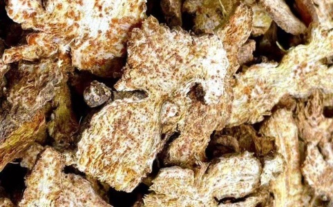 蒼術(shù)現(xiàn)在最新價格,蒼術(shù)最新價格探析