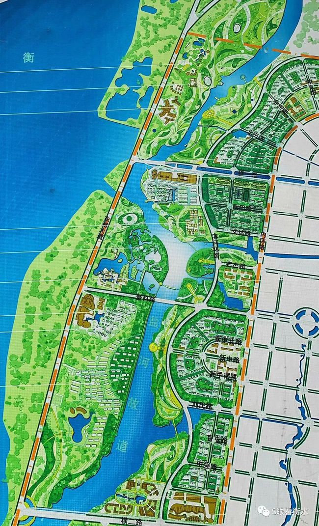 衡水發(fā)展規(guī)劃最新動態(tài)，深度探討與未來展望
