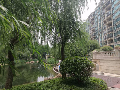 漢陽恒大綠洲最新房價(jià)動(dòng)態(tài)，變化中的學(xué)習(xí)與自信的力量