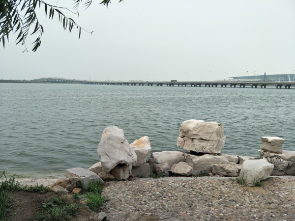 金海湖新區(qū)最新項目啟航，學習成就夢想，共創(chuàng)未來征程