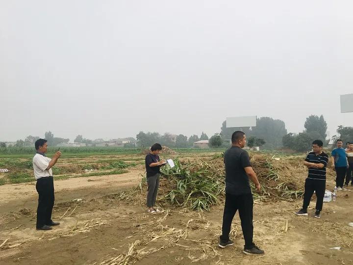 永年區(qū)最新工程項(xiàng)目，時(shí)代印記與未來(lái)展望之路